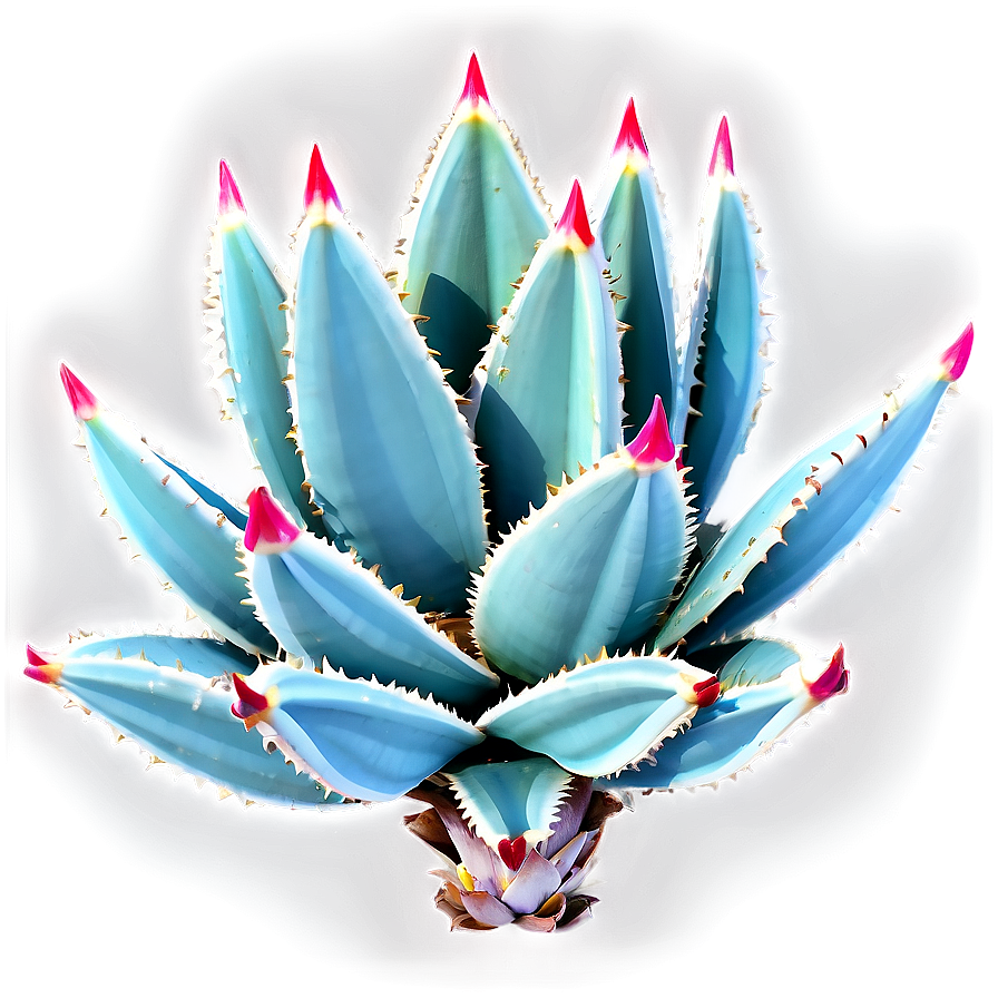 Minimalist Agave Plant Png Wxy PNG image