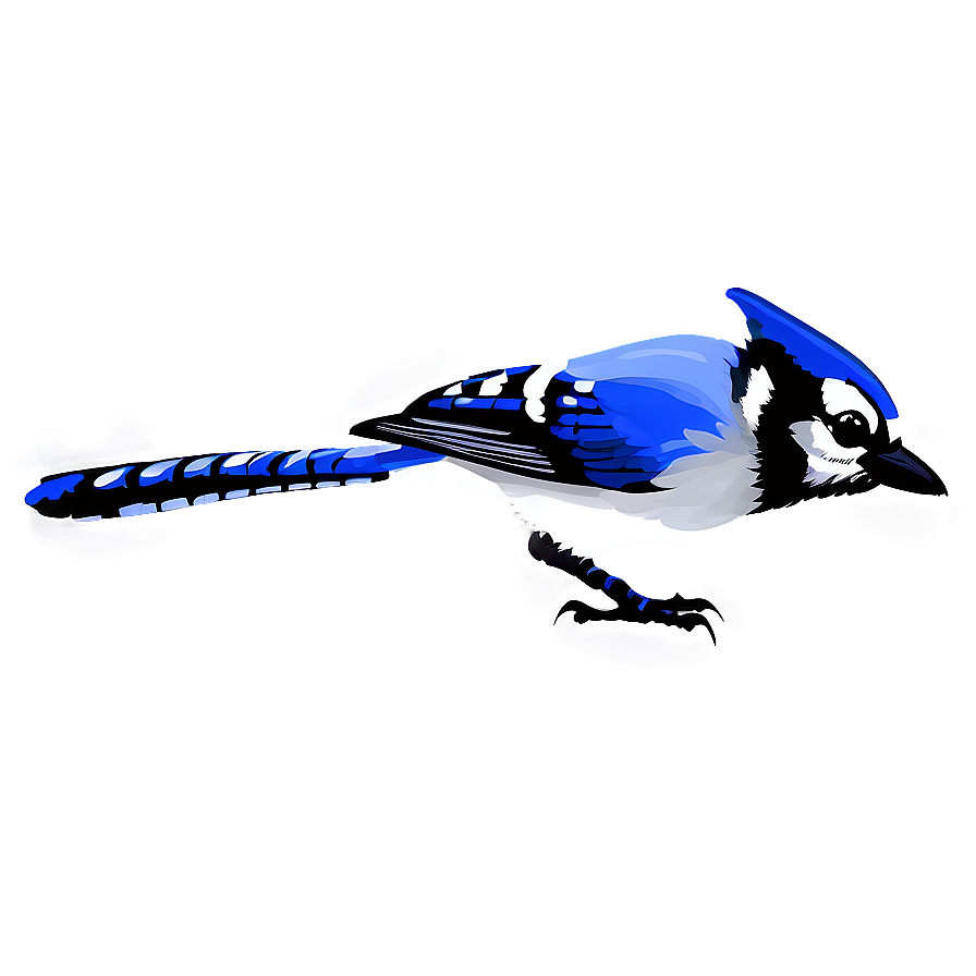 Minimalist Blue Jay Design Png Alk PNG image