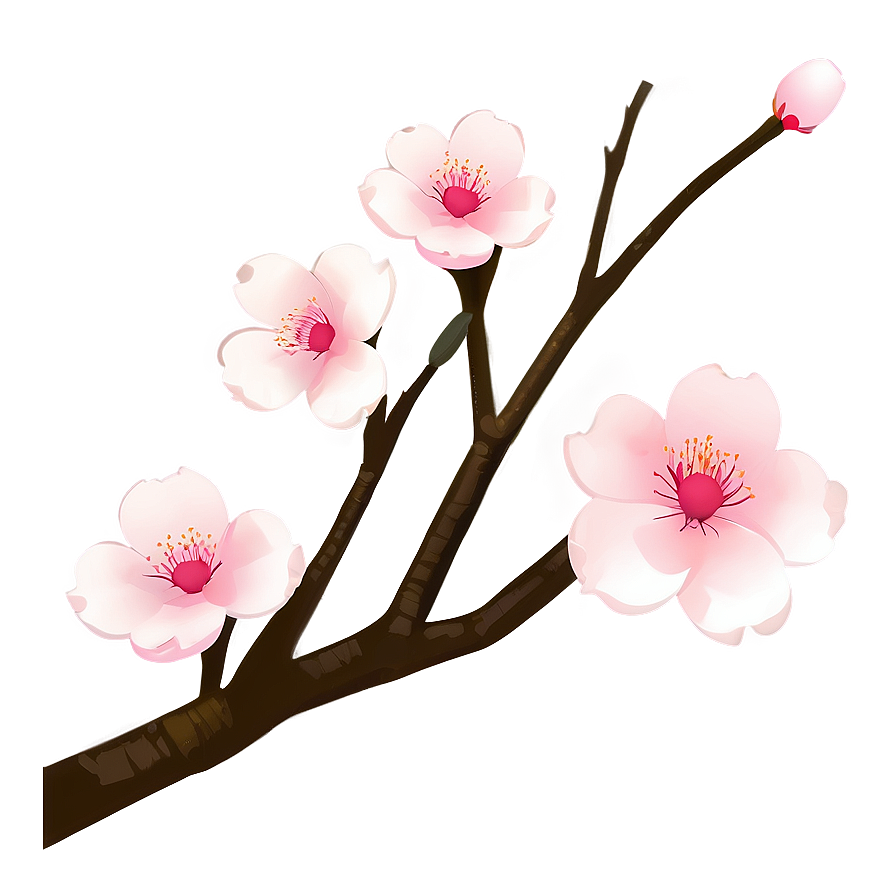 Minimalist Cherry Blossom Art Png 05032024 PNG image