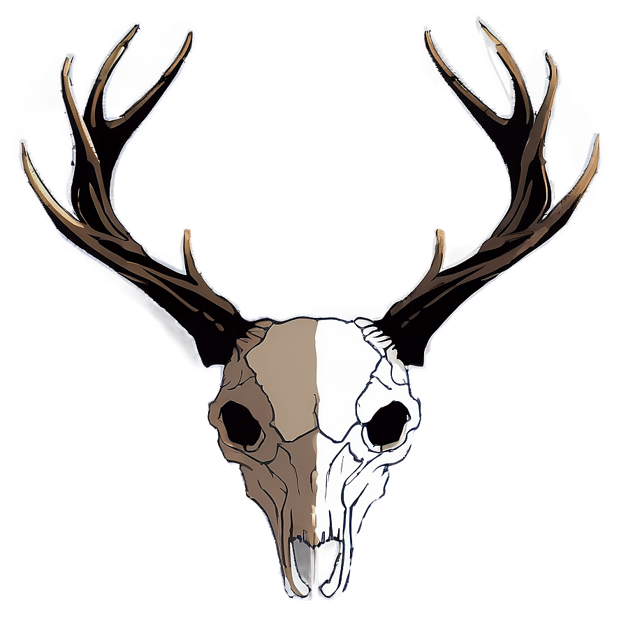 Minimalist Deer Skull Outline Png 06132024 PNG image