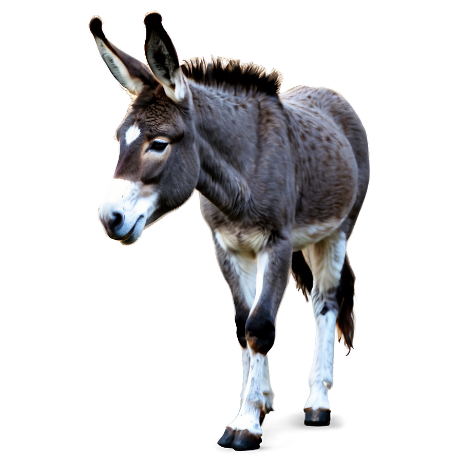 Minimalist Donkey Design Png 05232024 PNG image