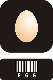 Minimalist Egg Design PNG image