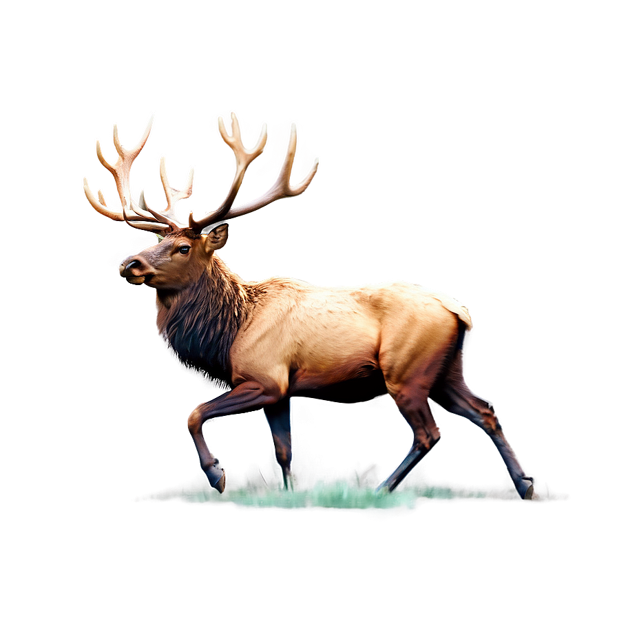 Minimalist Elk Png Orc44 PNG image