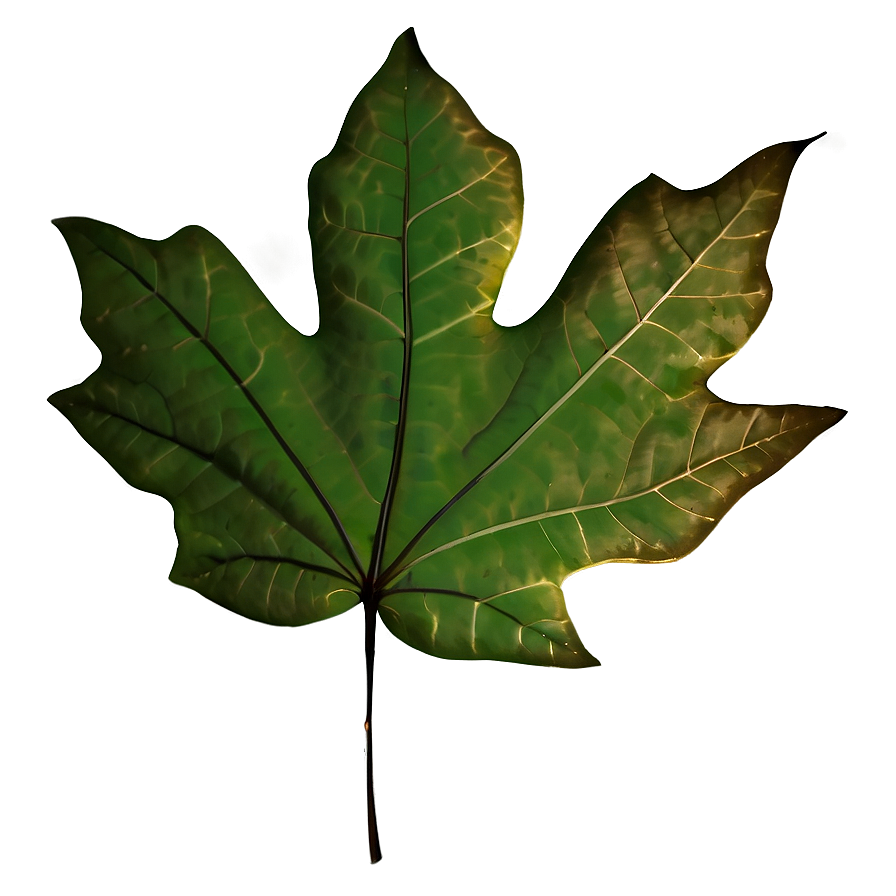 Minimalist Fall Leaf Png Ufk PNG image