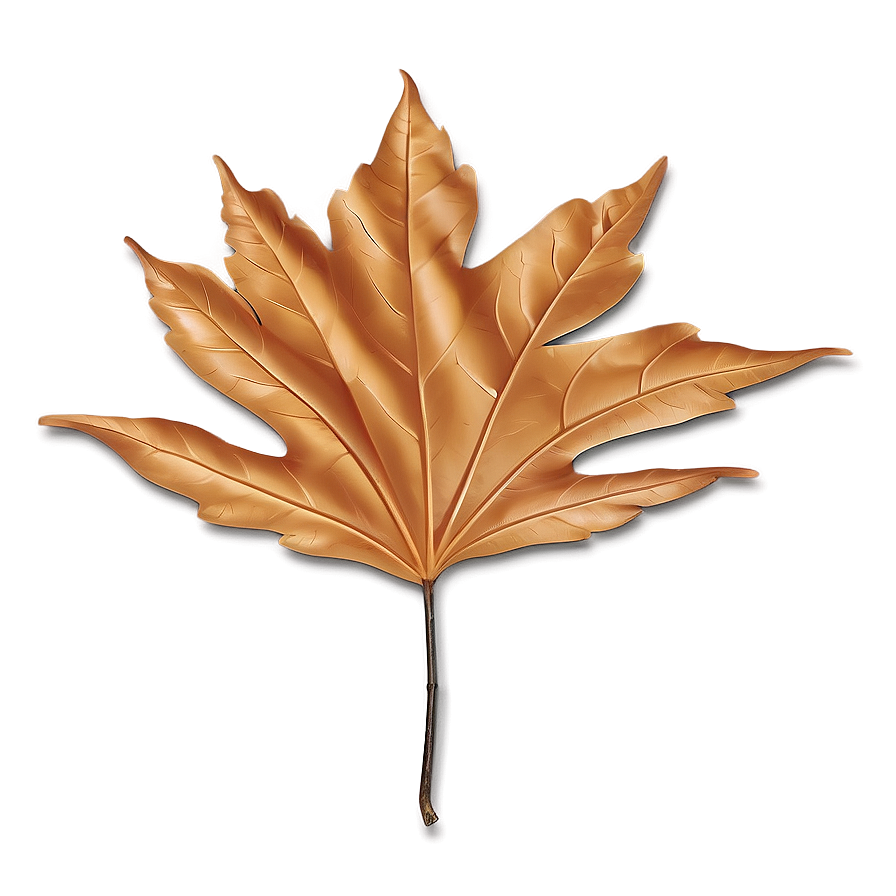 Minimalist Fall Leaf Png Yqe PNG image