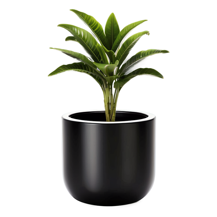 Minimalist Floor Plant Png 9 PNG image