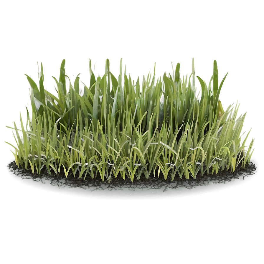 Minimalist Grass Patch Png Eke84 PNG image