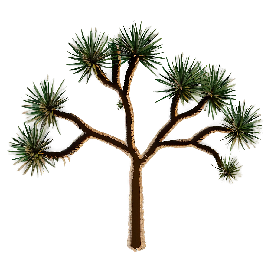 Minimalist Joshua Tree Design Png Otw85 PNG image