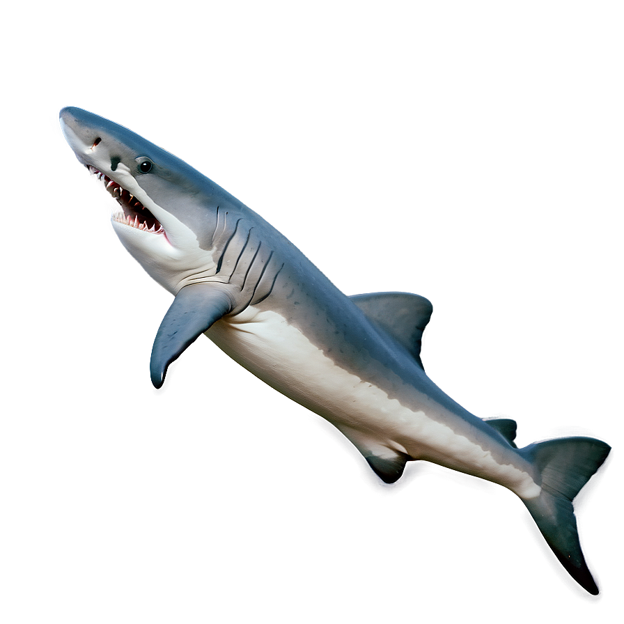 Minimalist Shark Jaw Png Opg PNG image