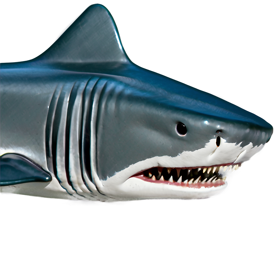 Minimalist Shark Jaw Png Qhn PNG image