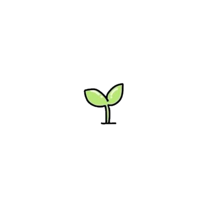 Minimalist Sprout Illustration PNG image