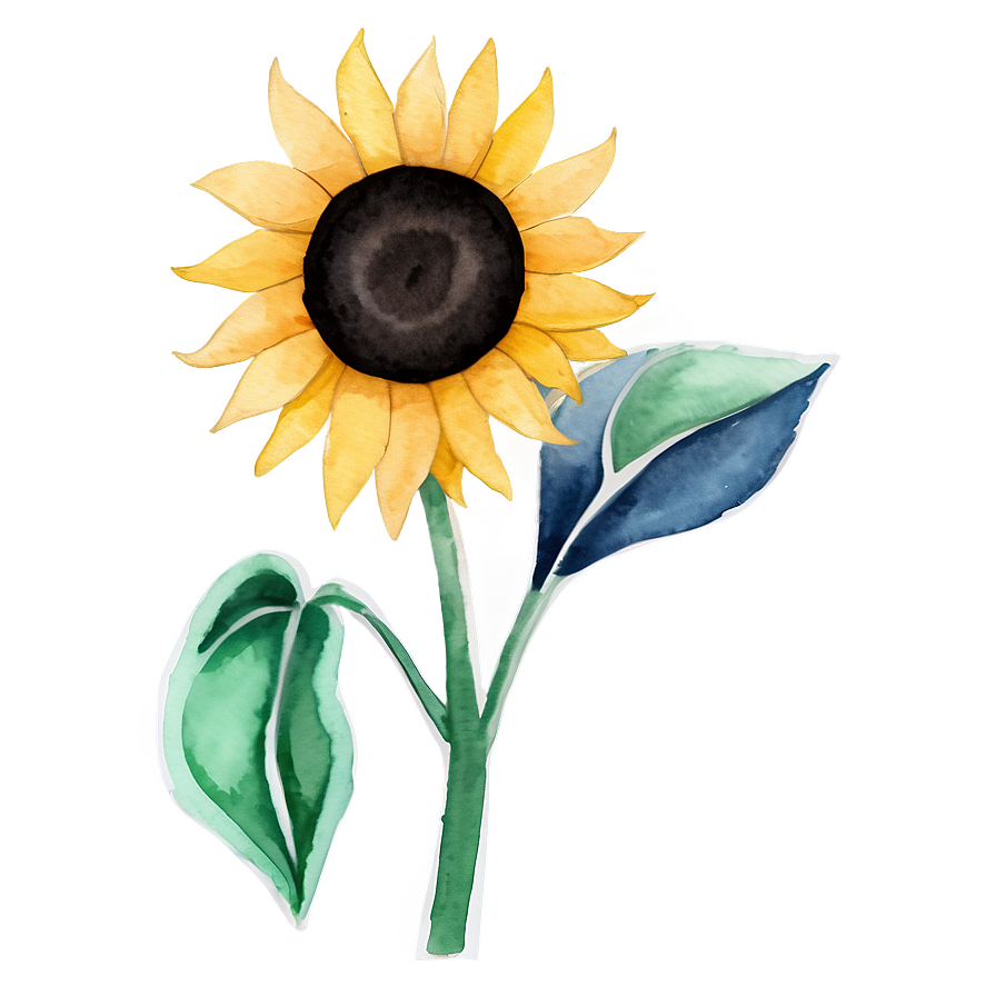 Minimalist Sunflower Watercolor Art Png 99 PNG image