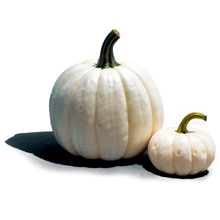 Minimalist White Pumpkin Png 06212024 PNG image