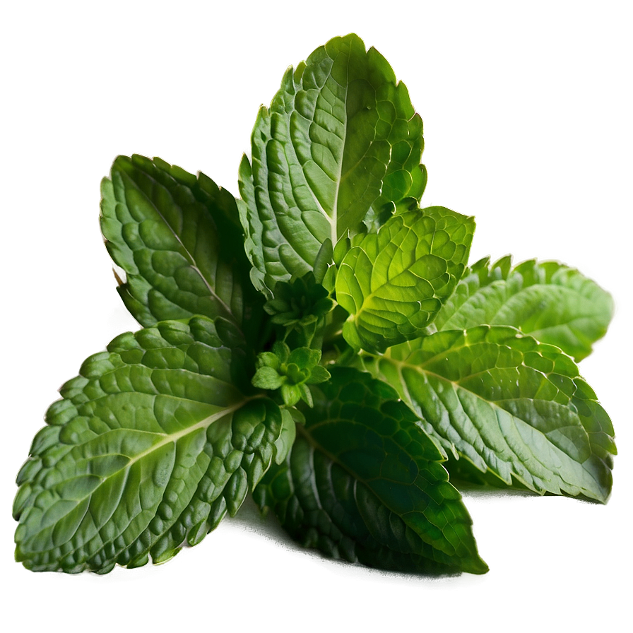 Mint Leaves For Cooking Png Qoi36 PNG image