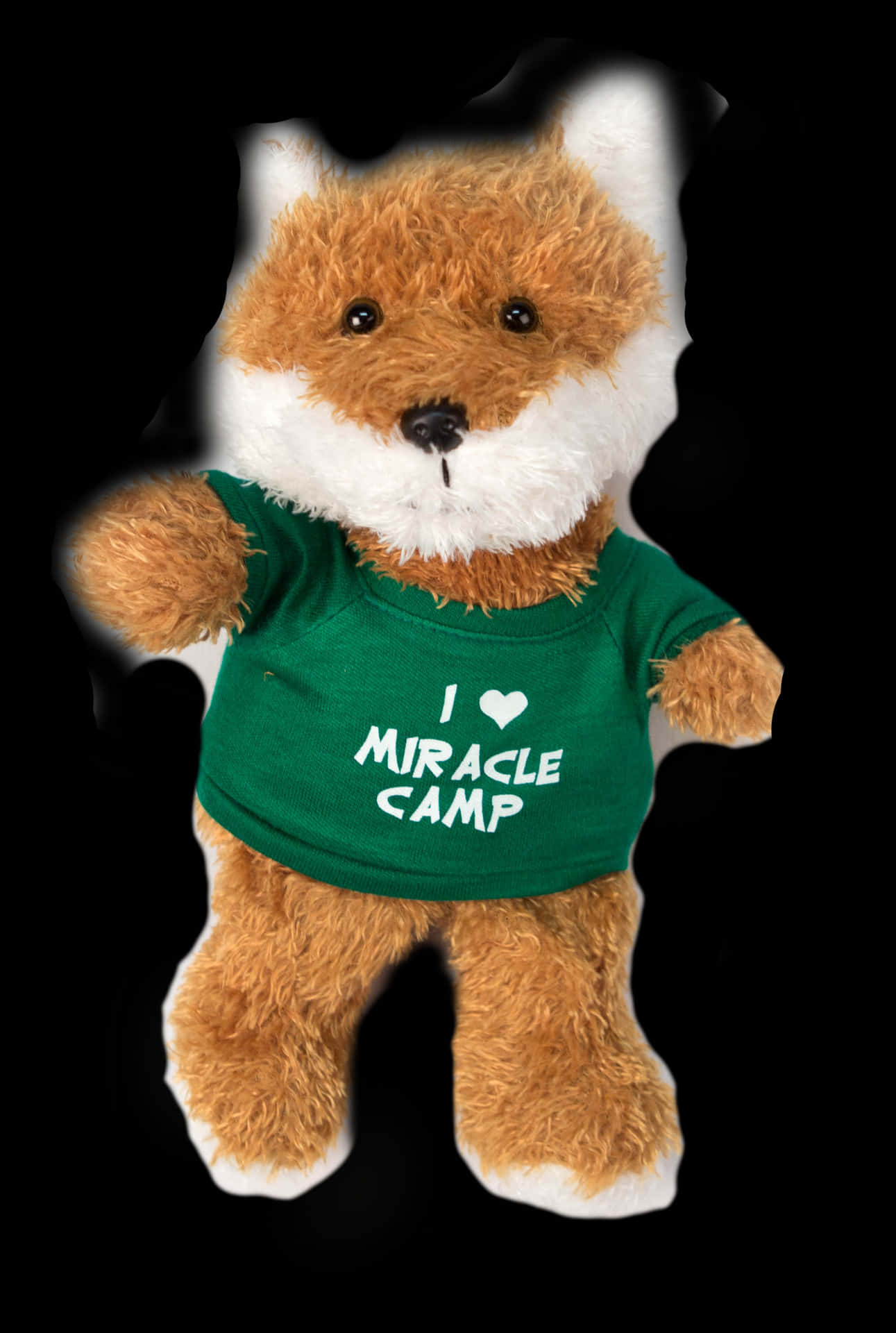 Miracle Camp Love Teddy Bear PNG image