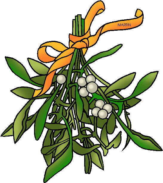 Mistletoe Bunch With Orange Ribbon PNG image