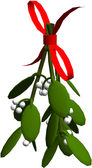 Mistletoewith Red Ribbon PNG image