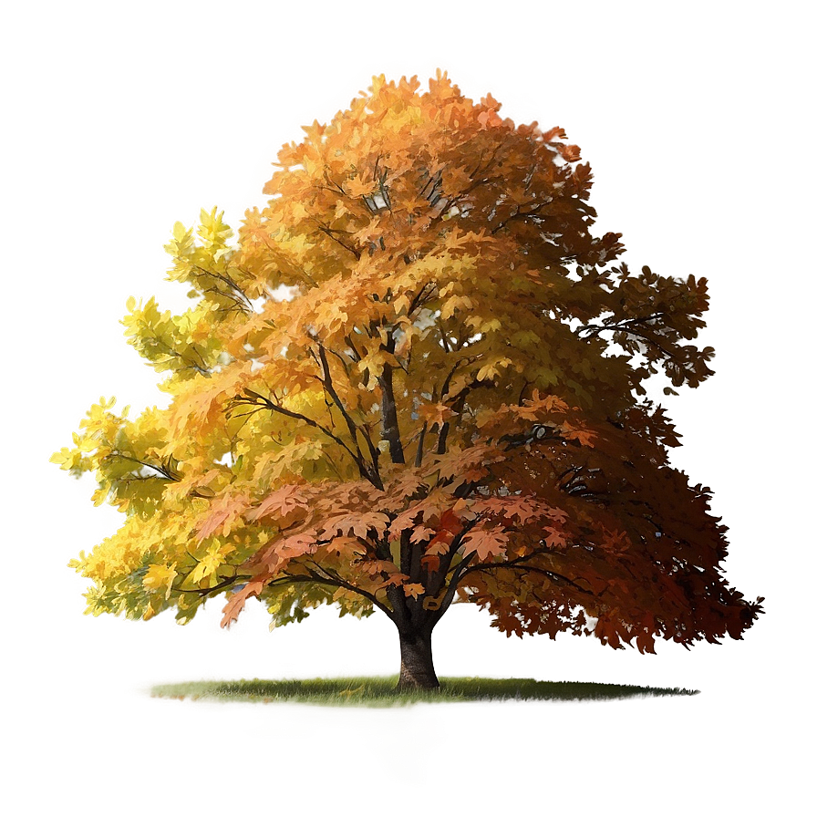 Misty Morning Fall Trees Png Tqa PNG image