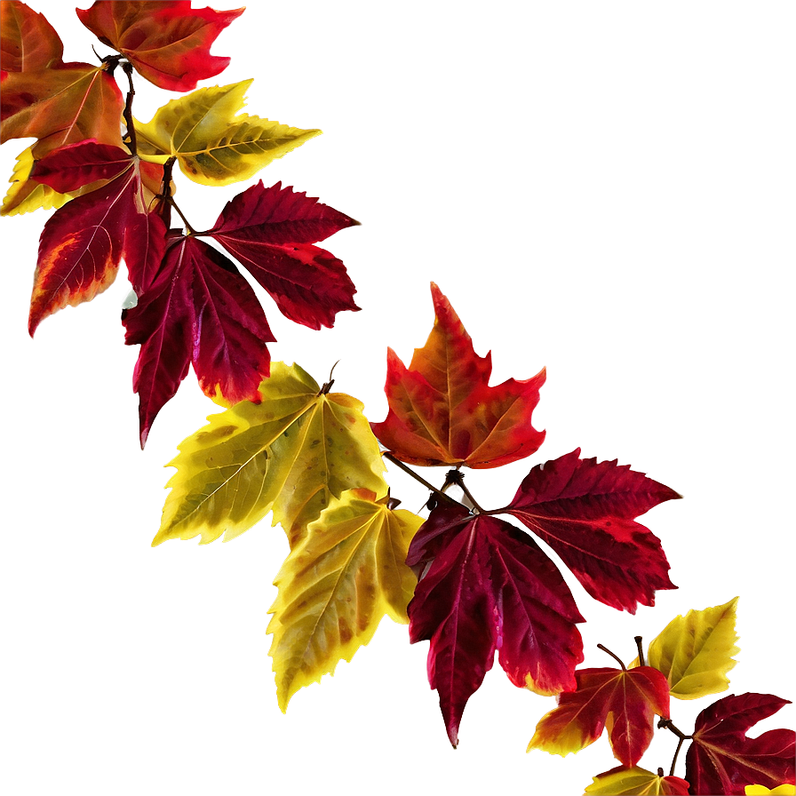 Mixed Fall Leaves Png Bkb14 PNG image