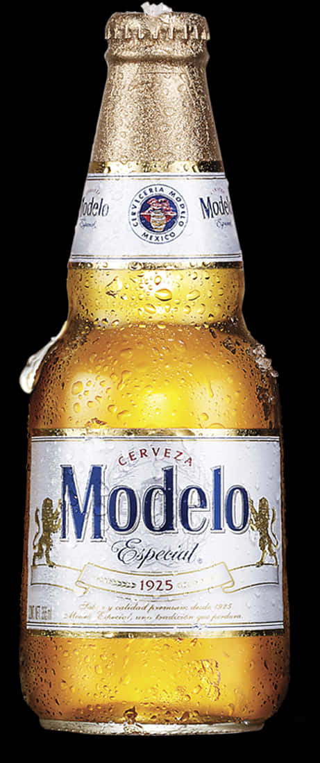 Modelo Especial Beer Bottle PNG image