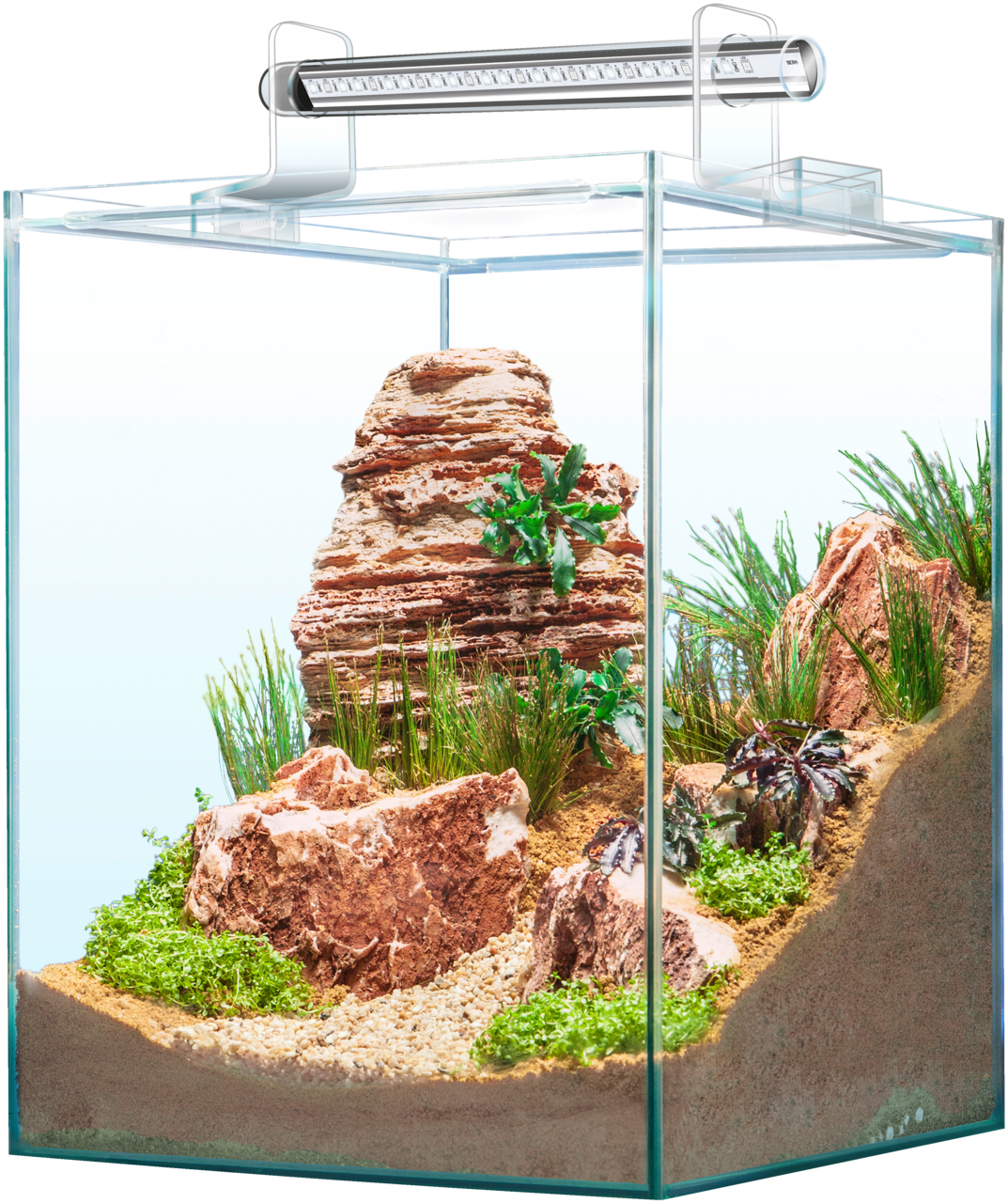 Modern Aquarium Design PNG image