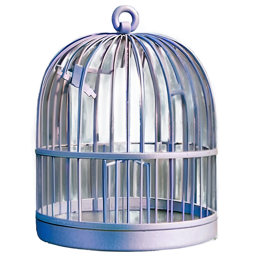 Modern Birdcage Art Png 06122024 PNG image