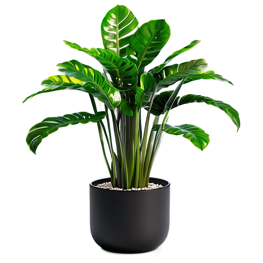 Modern Floor Plant Png Wtu PNG image