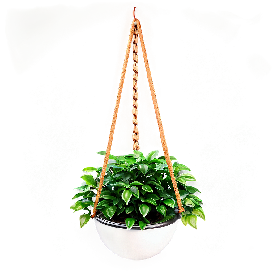 Modern Hanging Plant Png 80 PNG image