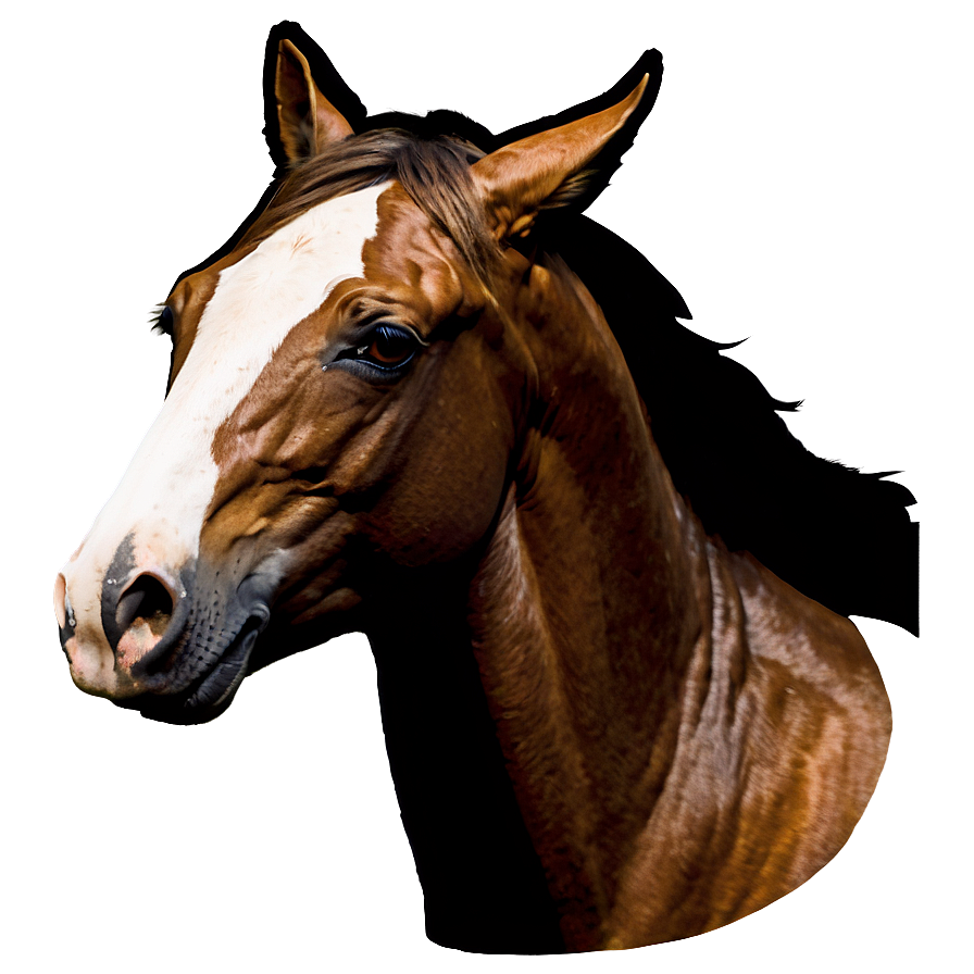 Modern Horse Head Logo Png 92 PNG image