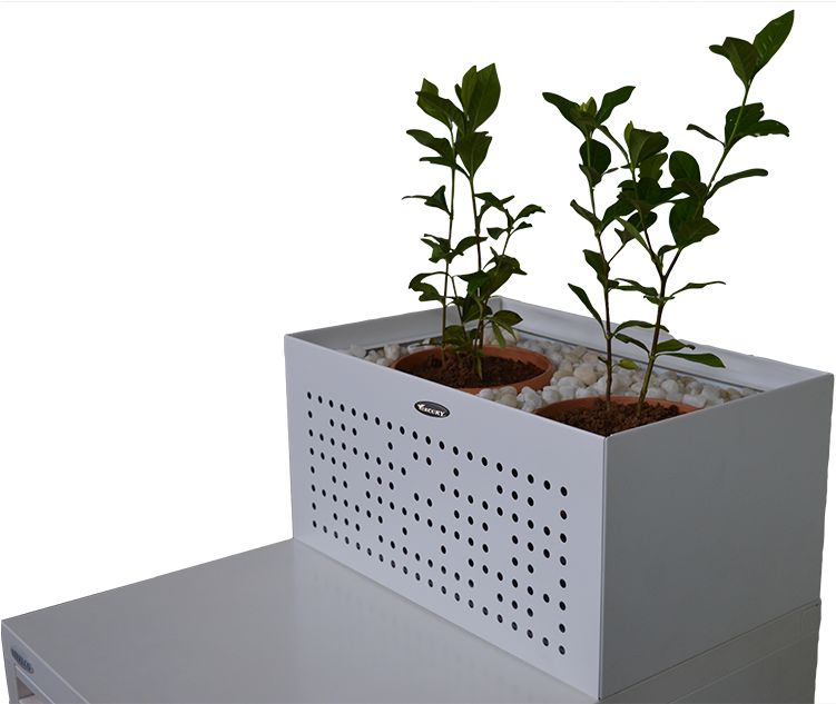 Modern Indoor Planterwith Plants PNG image