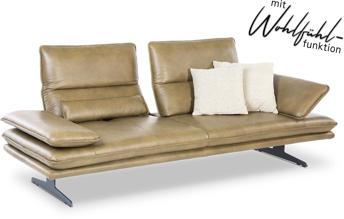 Modern Leather Sofa With Cushions PNG image
