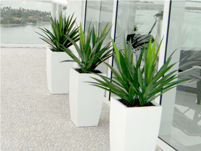 Modern Outdoor Planters Lakeside View PNG image