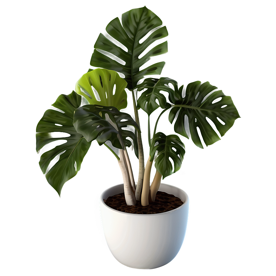 Modern Potted Plants Png 42 PNG image