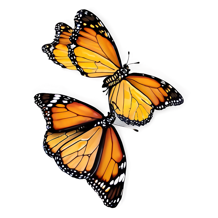 Monarch Butterflies Cluster Png 06252024 PNG image