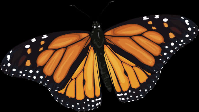 Monarch Butterfly Illustration PNG image