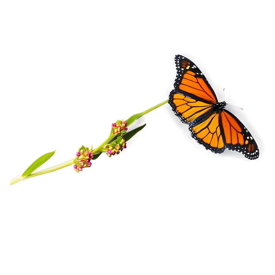 Monarch Butterfly In Flight Png 05252024 PNG image