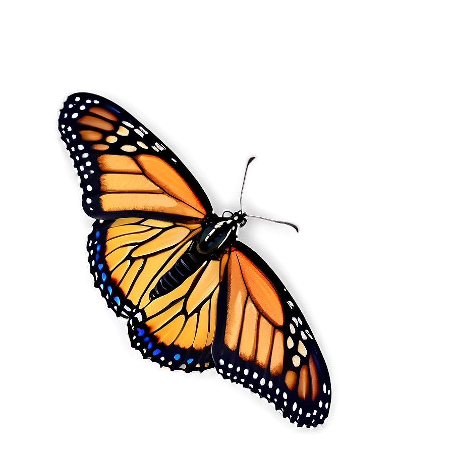 Monarch Butterfly Wings Spread Png 05252024 PNG image