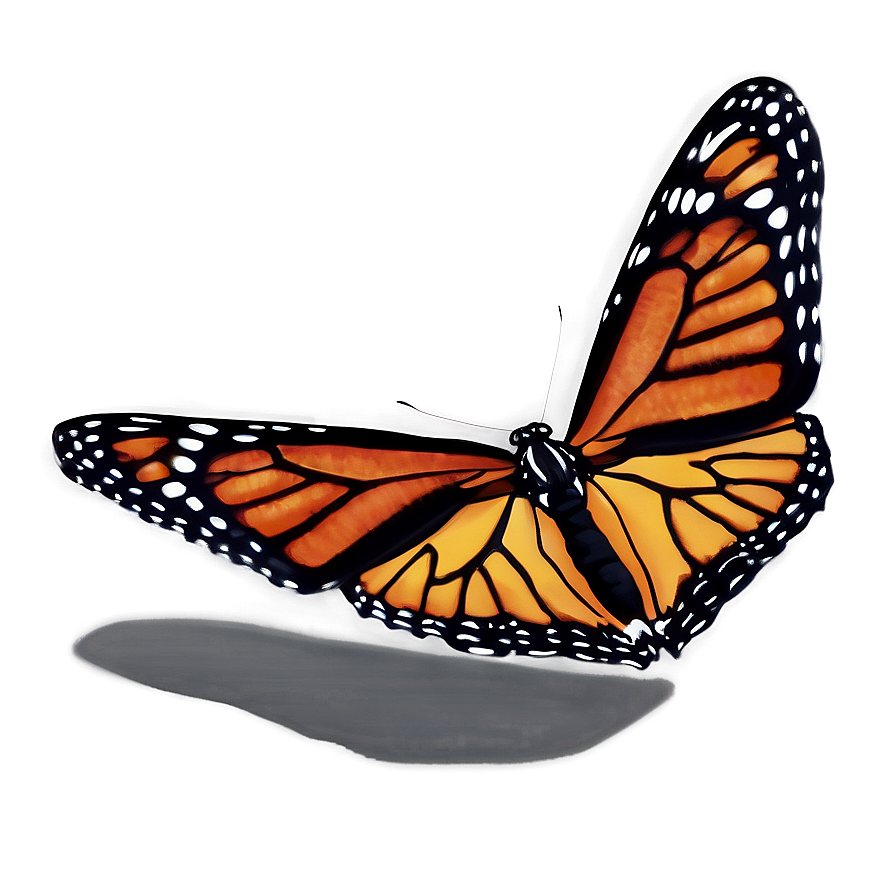 Monarch Butterfly Wings Spread Png Dau PNG image