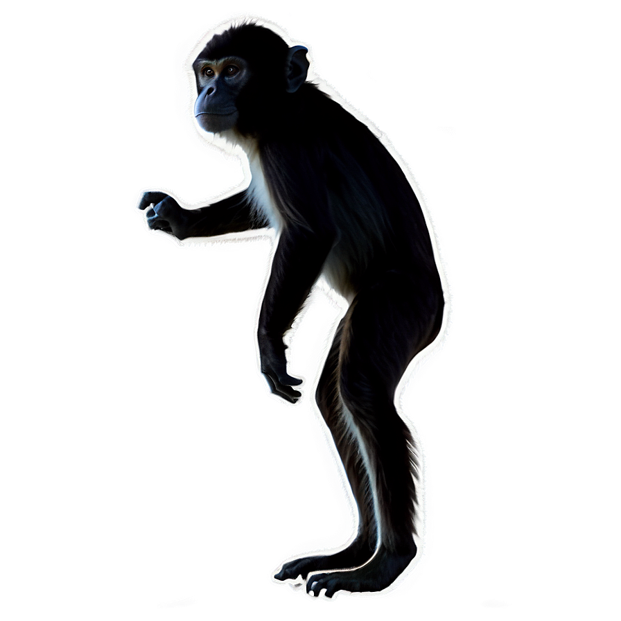 Monkey Silhouette Png 39 PNG image