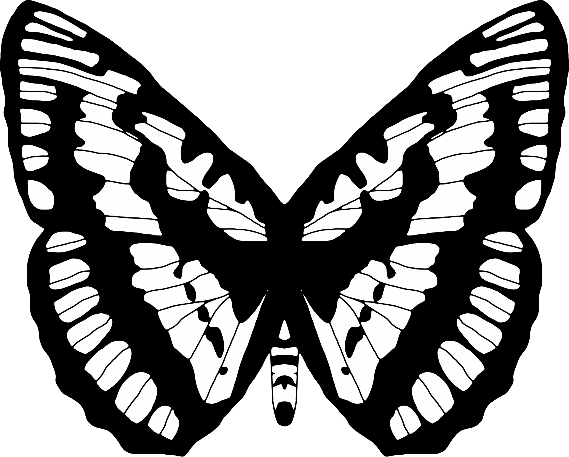 Monochrome Butterfly Illustration.png PNG image