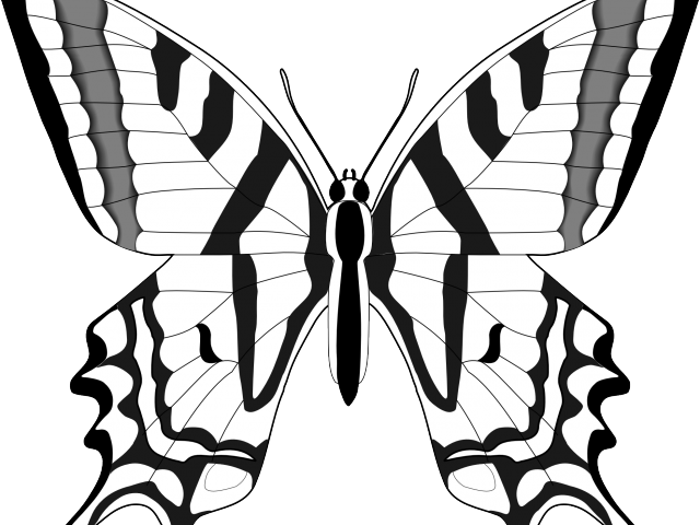 Monochrome Butterfly Outline PNG image