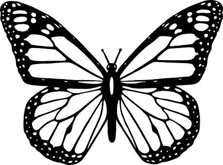 Monochrome Butterfly Silhouette PNG image