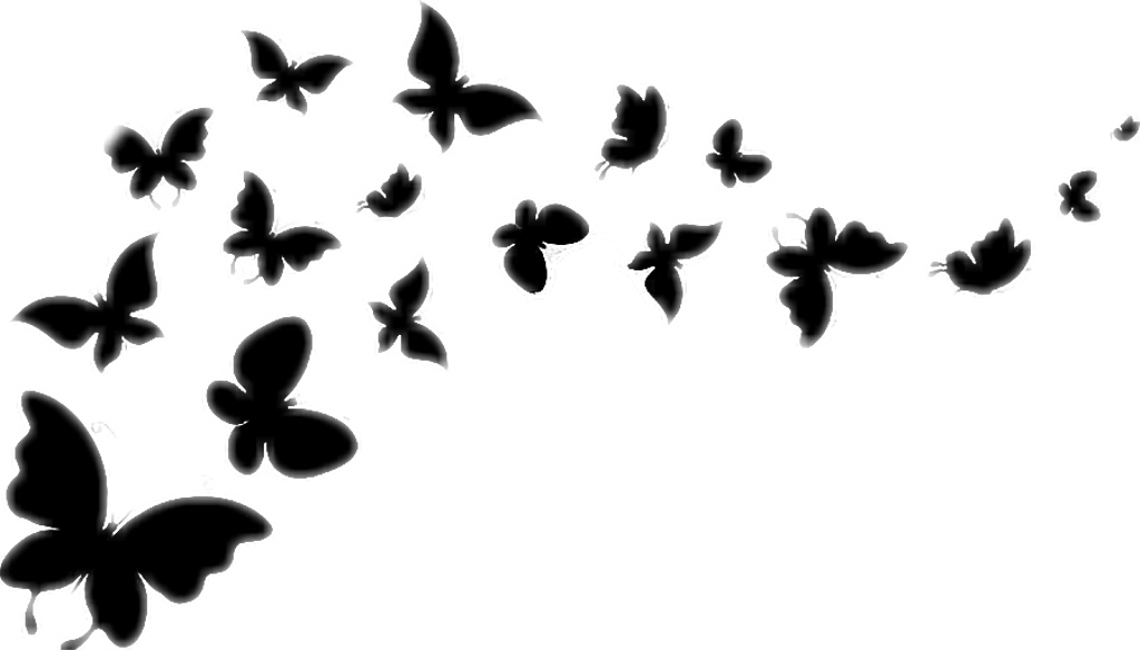 Monochrome Butterfly Silhouettes PNG image