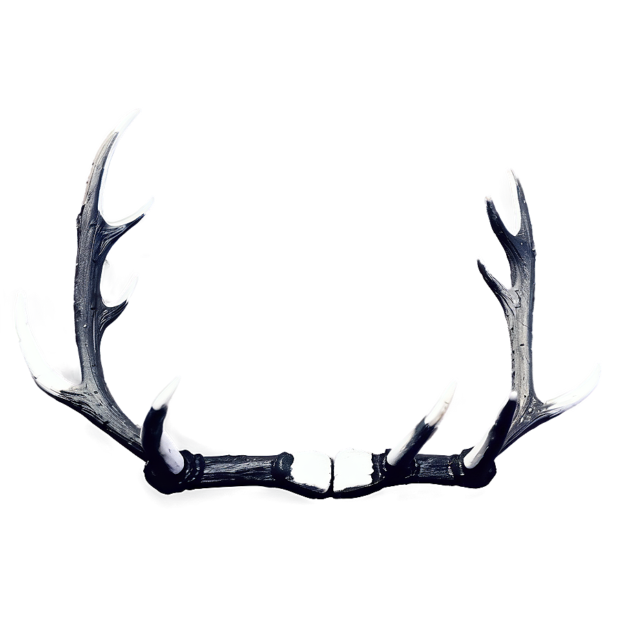 Monochrome Deer Antler Png 79 PNG image