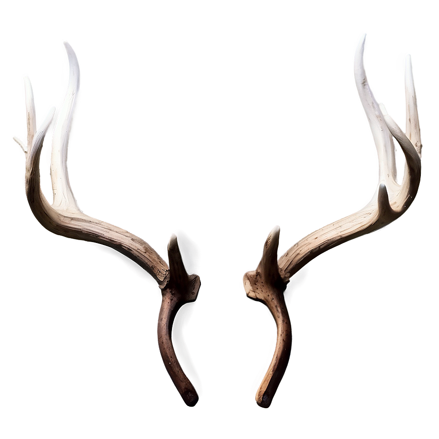 Monochrome Deer Antler Png Kpc PNG image