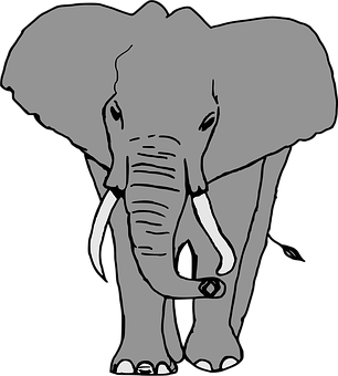 Monochrome Elephant Illustration PNG image