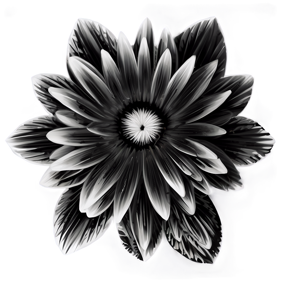 Monochrome Indie Flower Png 06252024 PNG image