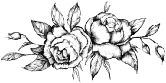 Monochrome_ Rose_ Sketch_ Artwork PNG image