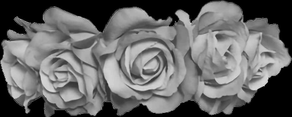 Monochrome Rose Trio PNG image
