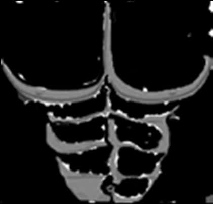 Monochrome Skull Graphic PNG image